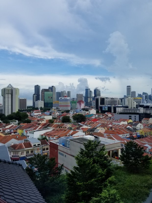 Downtown Singapore Skyline
